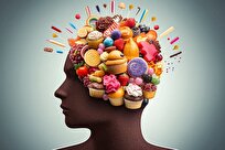 Scientists Discover Brain Molecules Controlling Food Cravings