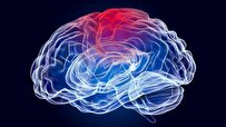 Scientists Develop Probe for Brain Oxygen Monitoring