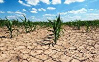 Iran-Made Activated Carbon Helps Resolving Drought Crisis