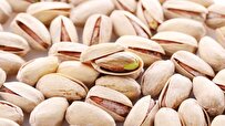 Iran 2nd Largest Exporter of Pistachio to EU