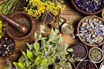 Iran Exports Medicinal Herbs, Extracts to Various European Countries