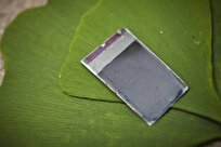 Scientists Develop New Artificial Leaf
