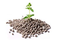 Iranian Knowledge-Based Company Indigenizes ‘Triple Super Phosphate’ Fertilizer