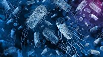 Decoding Deadly Link between Oral Microbes, Cancer