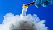 Iranian Scientists Study Optimization of Egg Freezing Process by Using Magnetic Field, Nanoparticles
