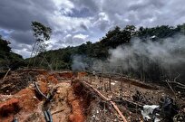 Brazil's Deforestation Drops 11.6 Percent in 2023