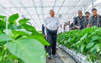 Sri Lanka to Use AI to Facilitate Agriculture Modernization