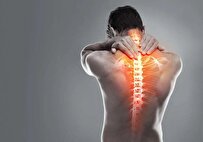Scientists Discover Potential Opioid Replacement for Back Pain