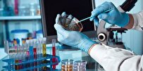 Iranian Researchers Discover New Method for Drug Screening of Modeling of Liver Cancer 