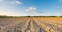 Botswana Declares 2023-2024 ‘Extreme Agricultural Drought Year’