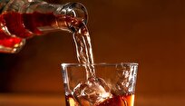 Alcohol’s Antidote: New Gel Neutralizes Booze in Body