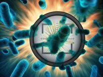 MIT Scientists Use AI to Target “Sleeper” Bacteria