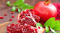 Iranian Scientists Produce Disinfecting Medicine for Animals by Using Pomegranate Peel