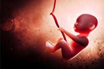 nanoparticles-found-to-have-mysterious-effects-on-unborn-children
