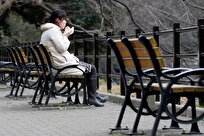Survey: Record Number of Japanese Living Alone