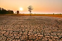 El-Nino-Induced Drought Reduces Botswana's GDP by 38 Percent