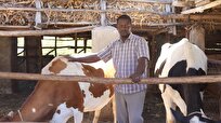 Kenya Launches Strategic Plan to Boost Dairy Exports