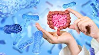 Researchers Suggest Gut Microbiome Modulates People's Age