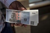 Zimbabwe Announces Measures to Boost Local Currency Use