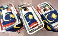 Official: Malaysia Sees Total Fertility Rate Decline