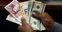 India's Forex Reserves Drop to 667.3 Billion USD