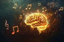 New Study Reveals How Humans Predict Musical Sequences