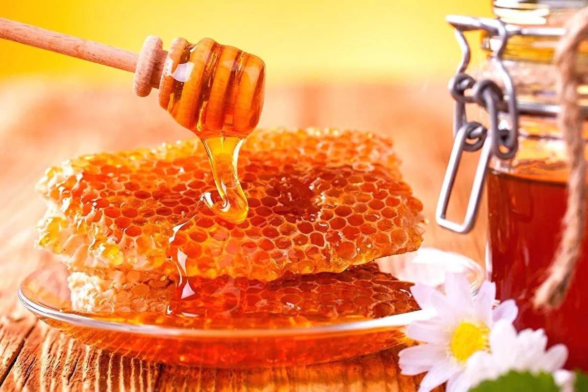 Iran Exports Nearly 1,500 Tons of Honey Last Year