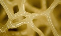 Researchers Develop 3D Printable Elastomers with Exceptional Strength, Toughness