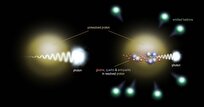 Physicists Unlock Secret of Elusive Negative Entanglement Entropy