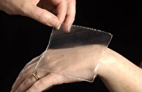 Researchers Develop Biodegradable Material for Enhanced Wound Healing, Skin Regeneration