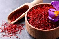 iranian-experts-make-1st-specialized-device-to-determine-authenticity-of-saffron