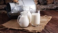 Study: Whole Milk Has No Major Impact on Lipid Metabolism