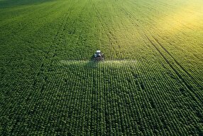 Iranian Company Produces Herbal-Based Pesticides Based on Nanocapsules