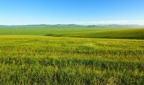 how-climate-change-may-alter-hydrology-of-grassland-ecosystems