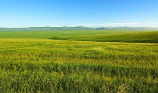 How Climate Change May Alter Hydrology of Grassland Ecosystems