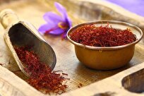 Afghanistan Exports 29.5 Million Dollars Worth of Saffron in 9 Months