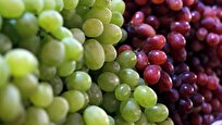 supermarket-grapes-spark-quantum-technology-revolution