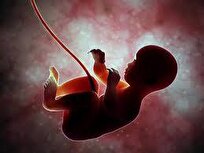 unborn-babies-use-genes-from-dad-to-remote-control-mothers-for-extra-food