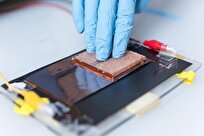 Iranian Scientists Develop New Generation of Antibacterial Wearable Devices