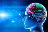 This Simple Brainwave Test Can Spot Alzheimer’s Years Early