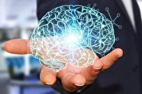 Iran to Participate in Int’l ‘Brain Bee’ Scientific Competition in US