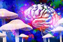 Magic Mushrooms Show Surprising Power to Ease Pain, Depression