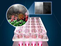 New Light-Based Therapy Kills 92% of Skin Cancer Cells without Harming Healthy Tissue