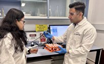 Iranian Scientist, Colleagues Develop Zinc-Air Battery for Clean Energy Storage