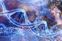 Surprising Way Parents Transfer Longevity to Offspring