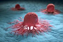 Scientists Discover Cancer’s Power-Up