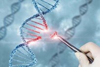 MIT Scientists Unlock New Level of Precision in Gene Editing