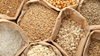 Iranian Technology Increases Shelf Life of Grains with Irradiation