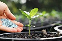 Iranian Knowledge-Based Firm Indigenizes Nano-Based Fertilizer