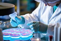 New Bacterial Therapy Destroys Cancer without Immune System